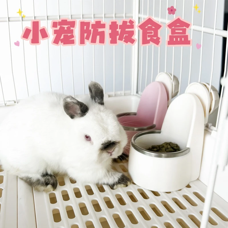 雷森兔小宠食盒兔子食盆龙猫荷兰猪豚鼠食盒防掀饭碗可固定式食盆