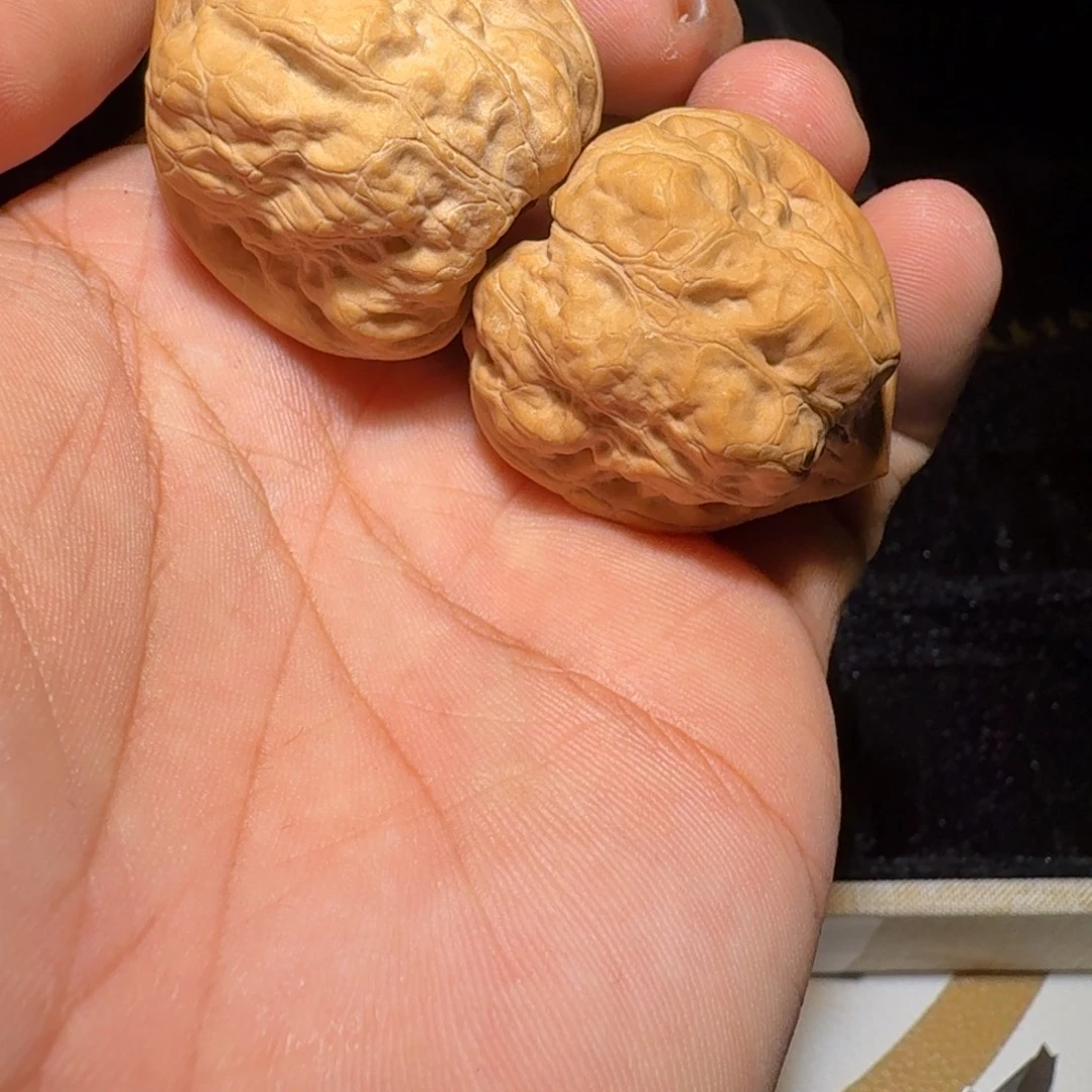 文玩核桃吊坠古蝉