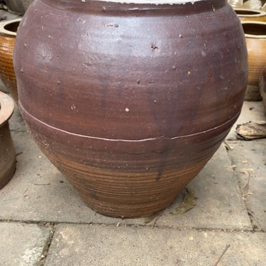 无花朵玫瑰花玫瑰花玫瑰花玫瑰