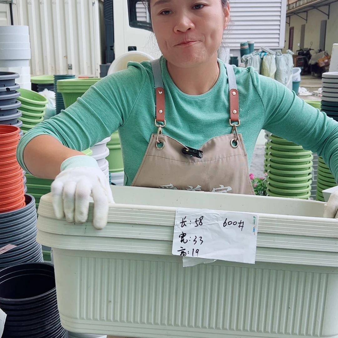 菜盆600#米白色3个无托