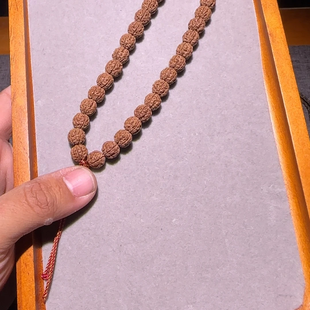 金刚菩提手串原桩盘龙倚天单圈