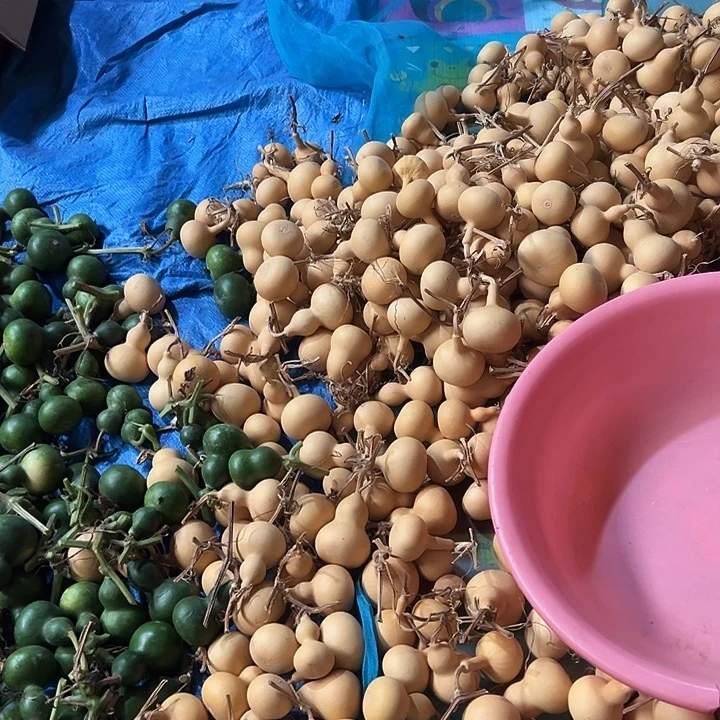 小美手捻葫芦通货