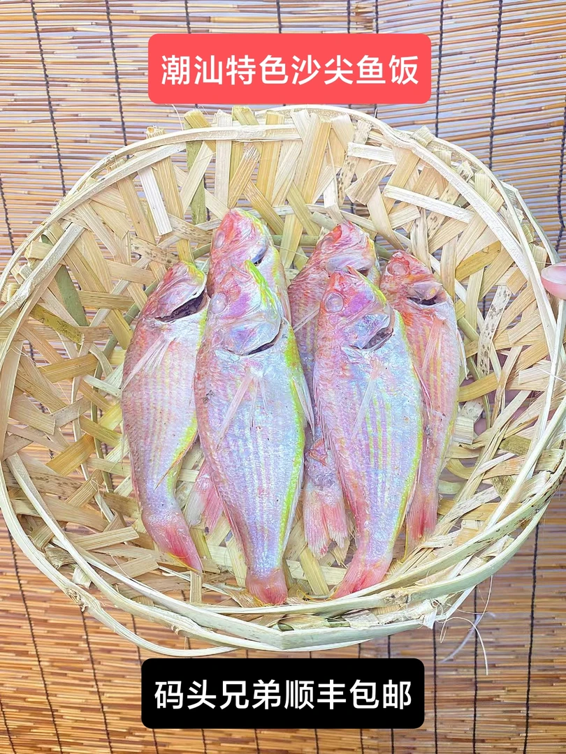 潮汕特色打冷鱼饭红杉鱼（新鲜现煮条条鲜甜）（顺丰发货）