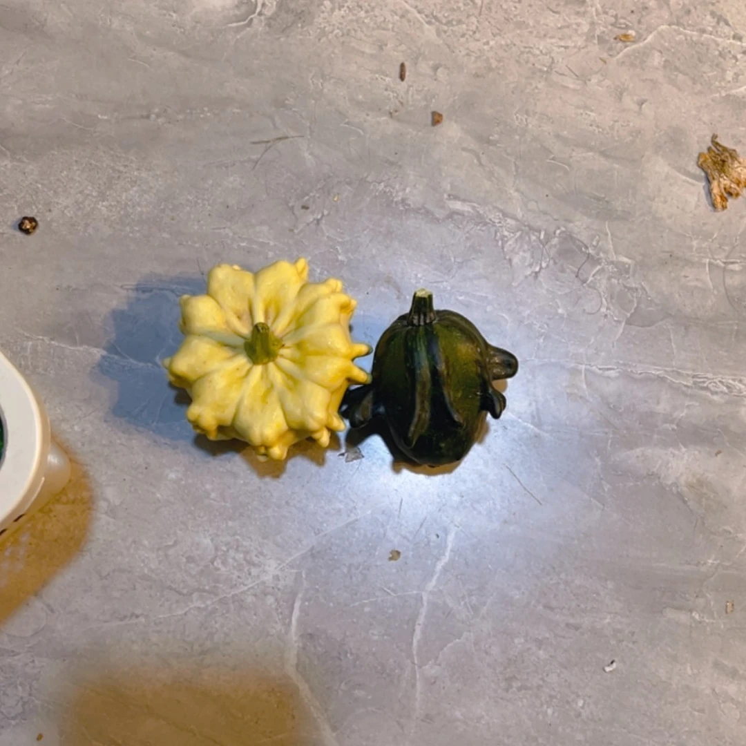 【闪购商品】歪*象哈哈哈哈哈哈哈哈哈