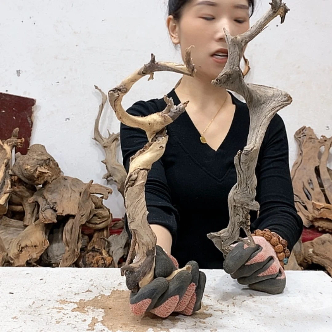 【闪购商品】柏木好*我们都是好孩子