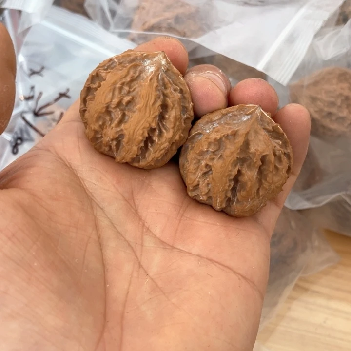 核桃其他秦岭核桃种植