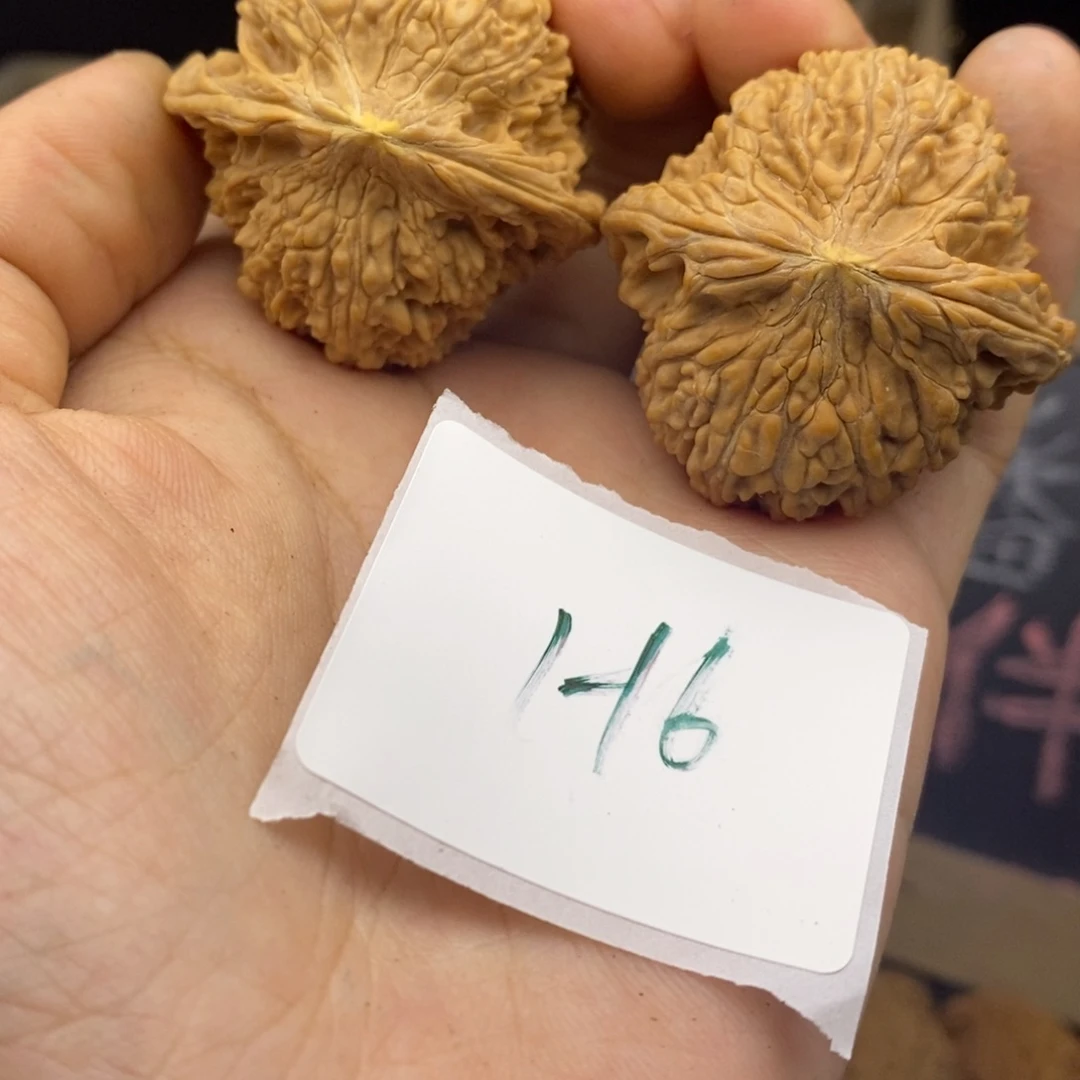 H6满天星39+微瑕介意勿拍