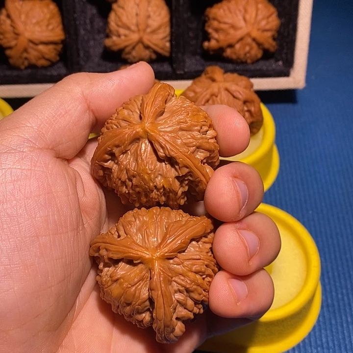 星***晴把件文玩核桃白狮子三棱