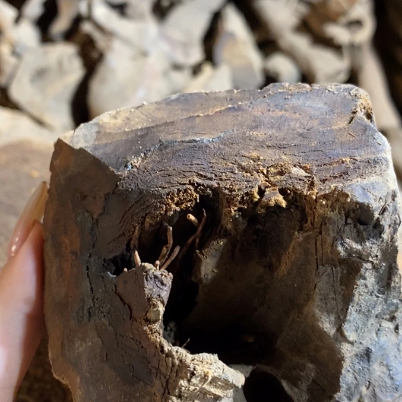 【闪购商品】手串贡木j***n私人订制