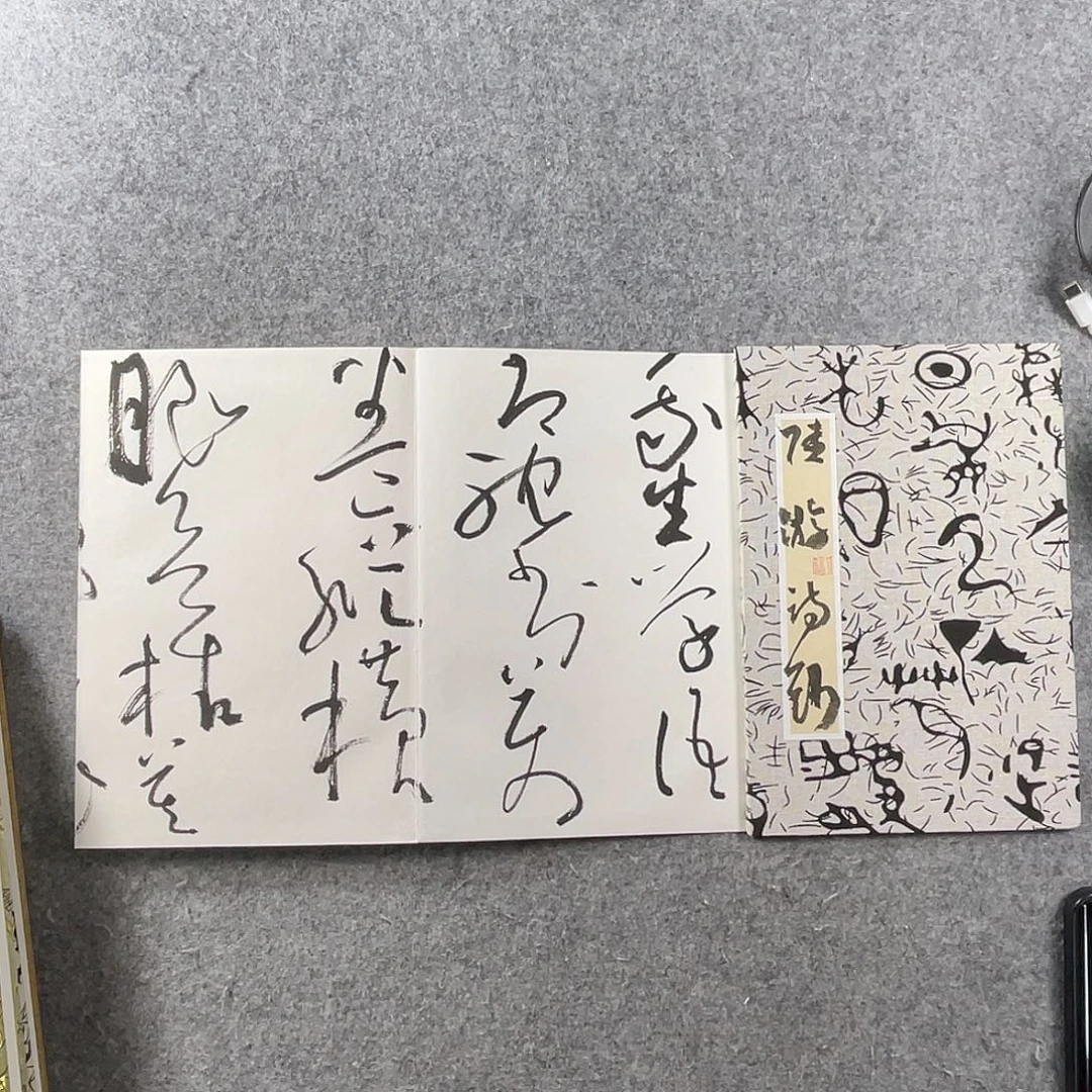 书法中书协会员作品