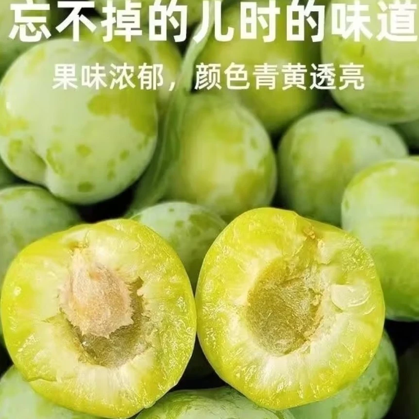 正宗云南脱骨青脆李新鲜现摘水果