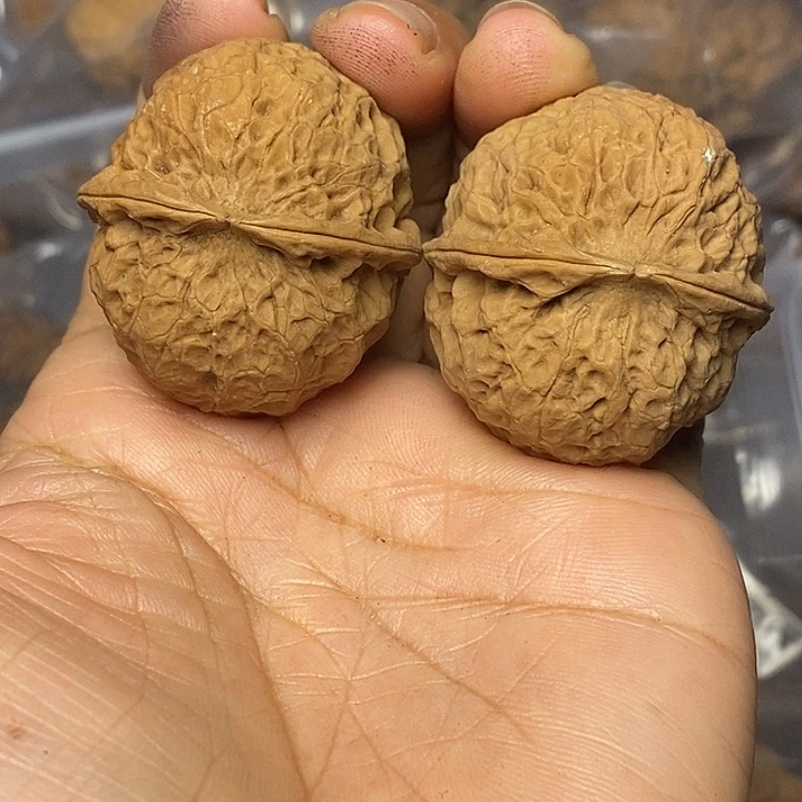 把件文玩核桃云南铁核桃89