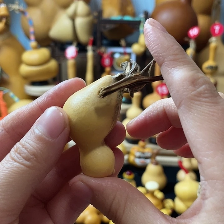 喝***e葫芦丝老师在讲英语听力时