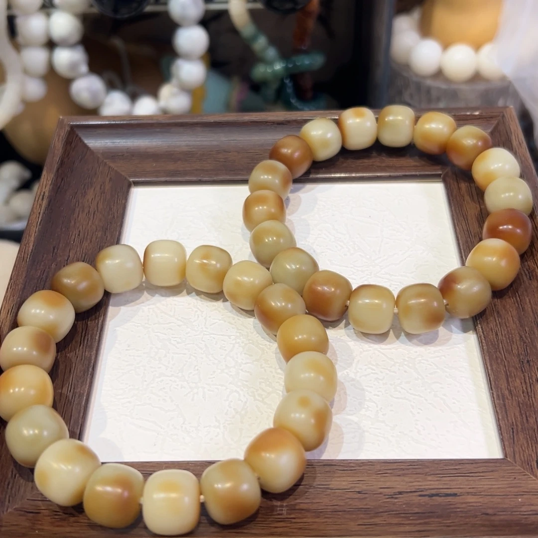 吊坠菩提根/象牙果奶绿飘飘卡14