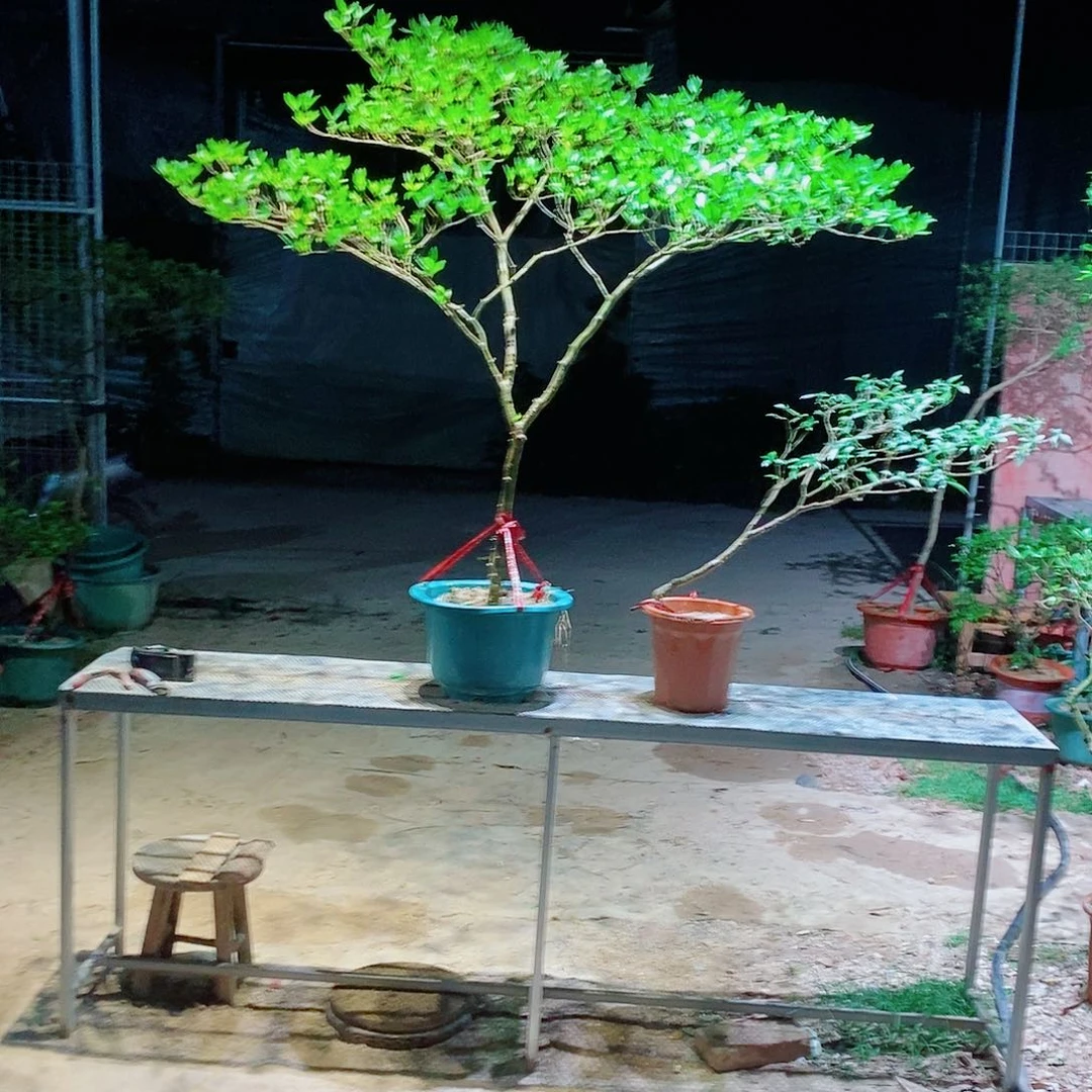 兴***哥感谢您对我的关心支持