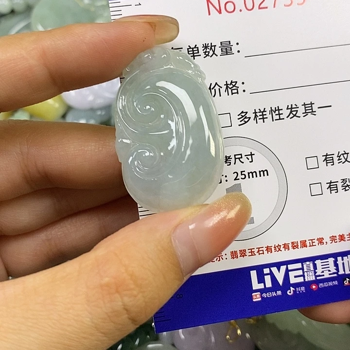 释***然翡翠未镶嵌颈饰翡翠