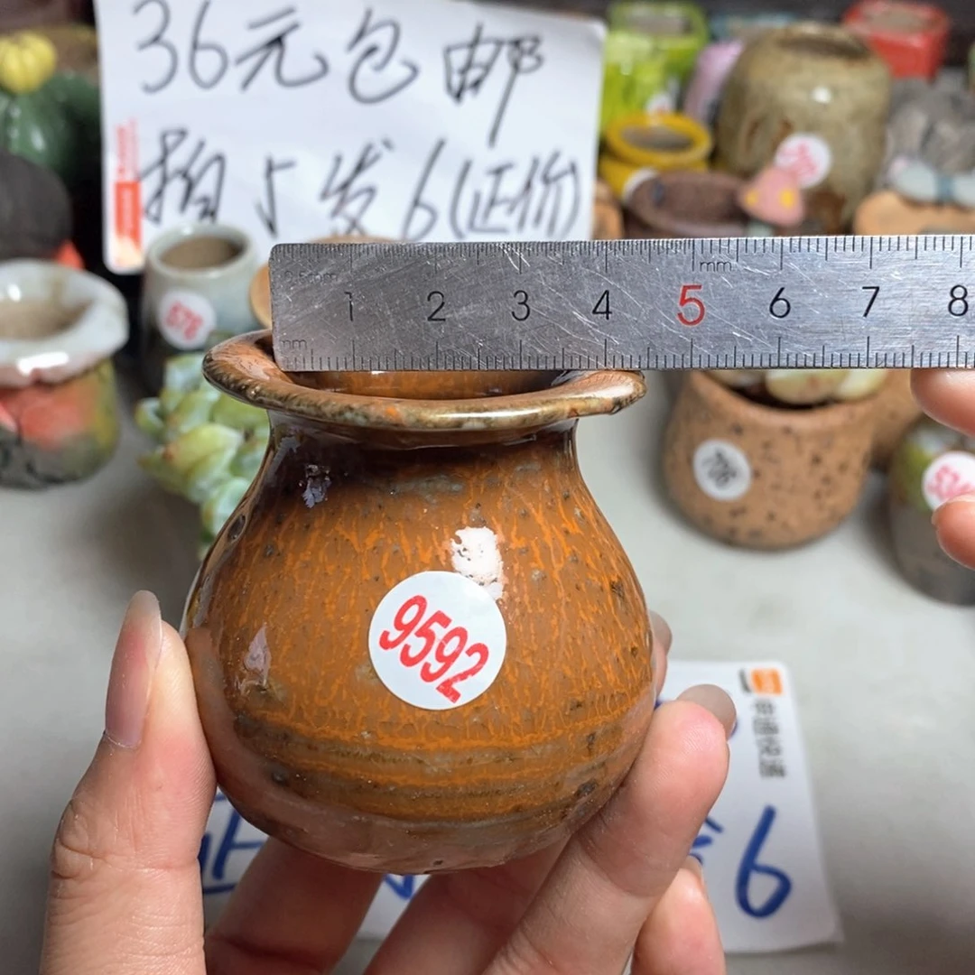 拍5送一个小礼物