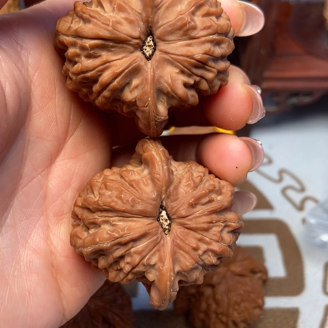大叶紫檀（黑酸枝木类）血麒麟