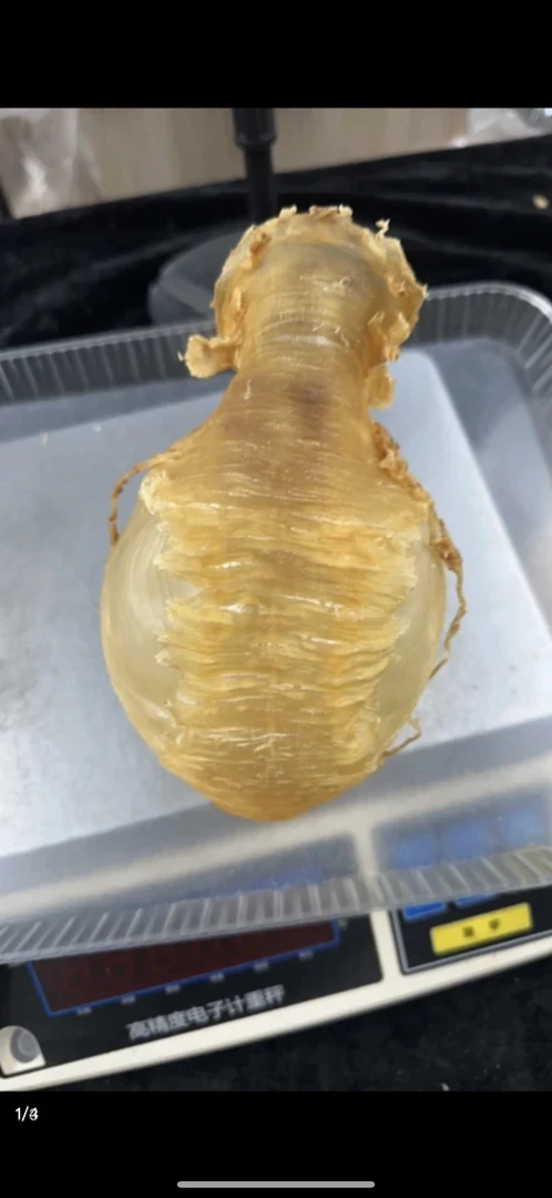 大胶现场称重改连接专用1至500克