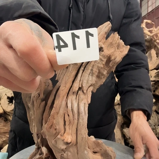 列****。紫砂噜啦啦啦啦啦啦