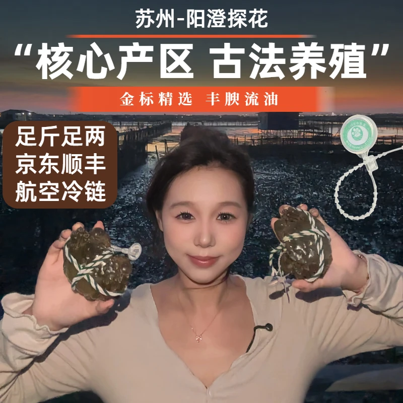 【活蟹】阳澄探花苏州核心产区河蟹精品全公2.⑤-2.⑧两10只蟹扣礼盒Z