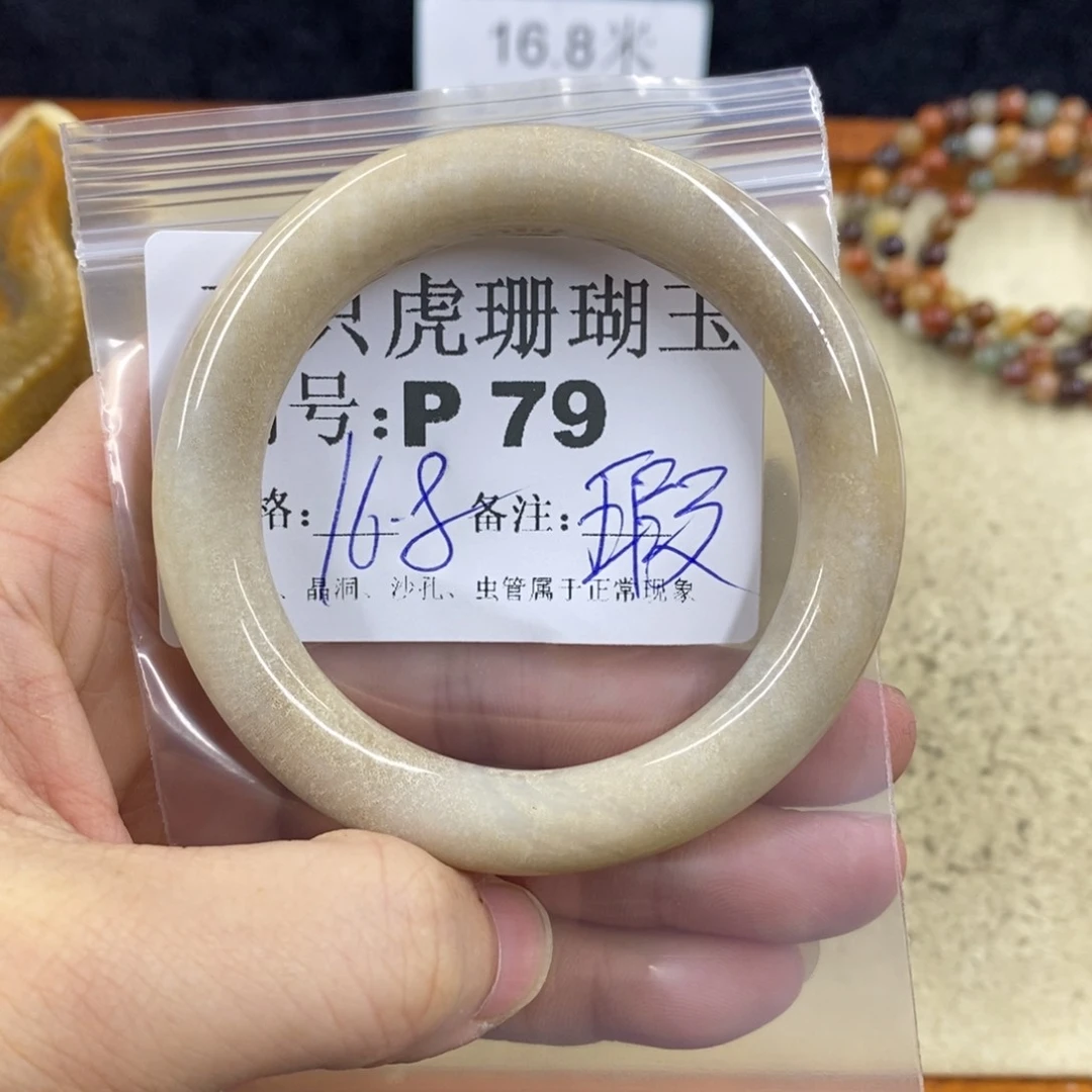 硅化珊瑚（珊瑚玉）1未镶嵌椰****n