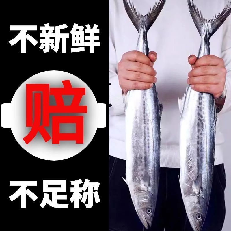 新鲜冷冻燕尾鲅鱼蓝点 马鲛鱼净重五斤 顺丰包邮