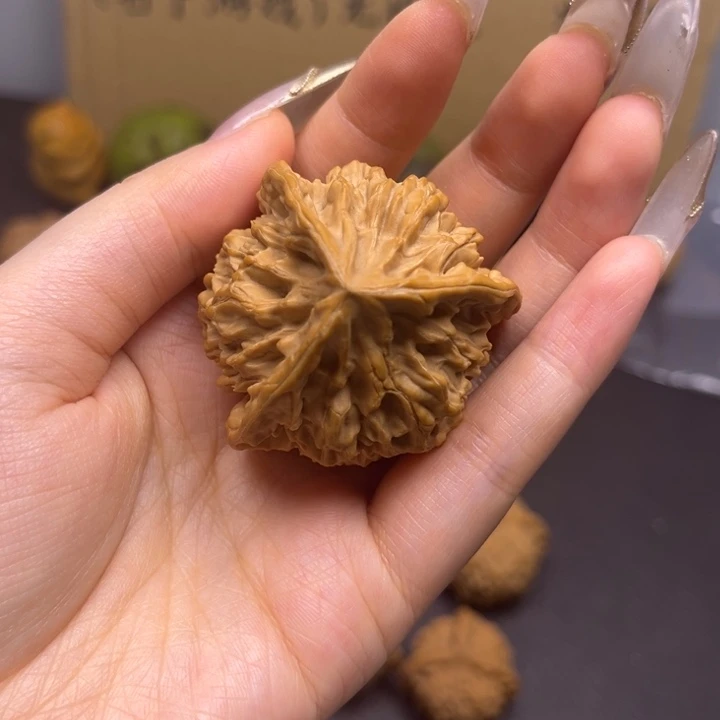 核***友菩提籽类帝王三棱奔单只