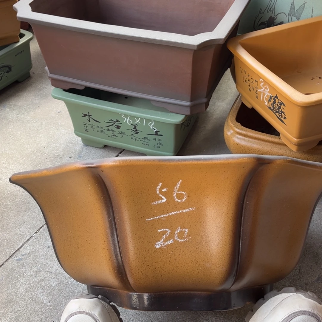 紫砂花盆盆景艺术