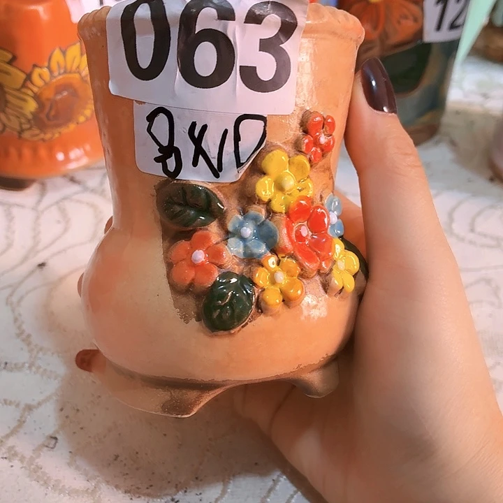 多肉花盆满15包邮
