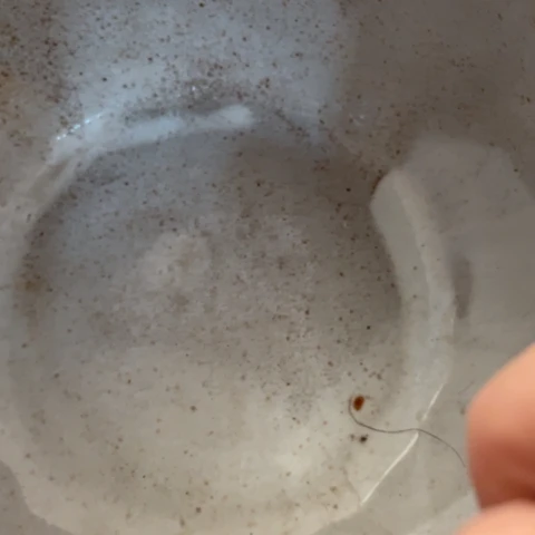 【闪购商品】摆件?****?摆件摆件摆件摆件摆件不