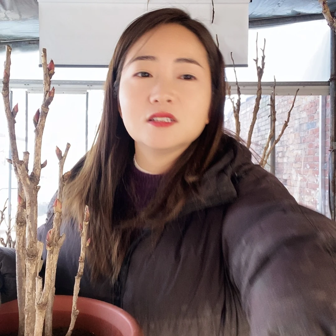 平***心当前无花栽培后可以开花今天早上