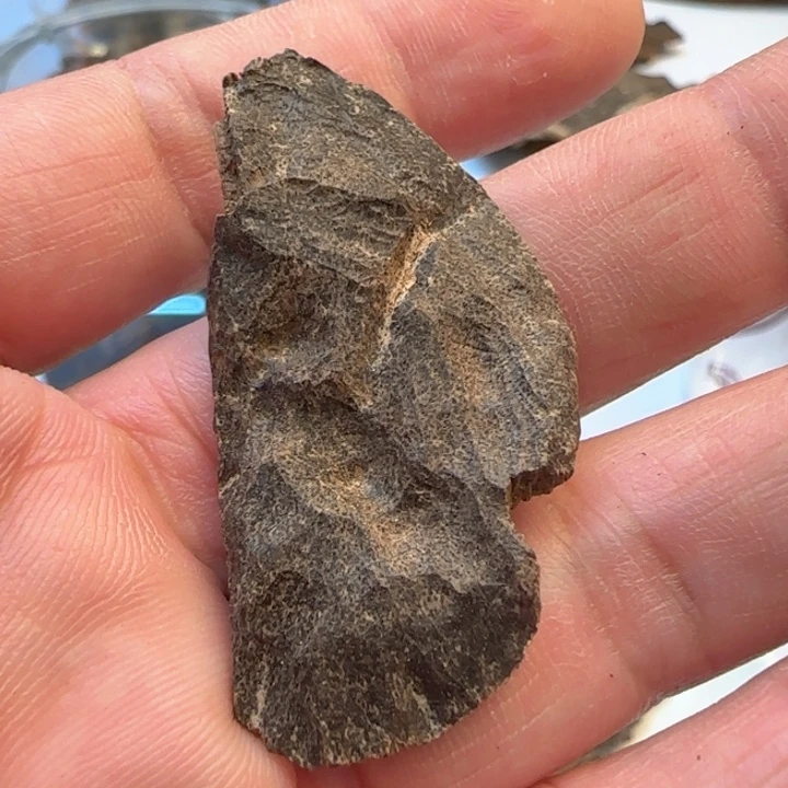 沉香摆件海南包头国香2.1克