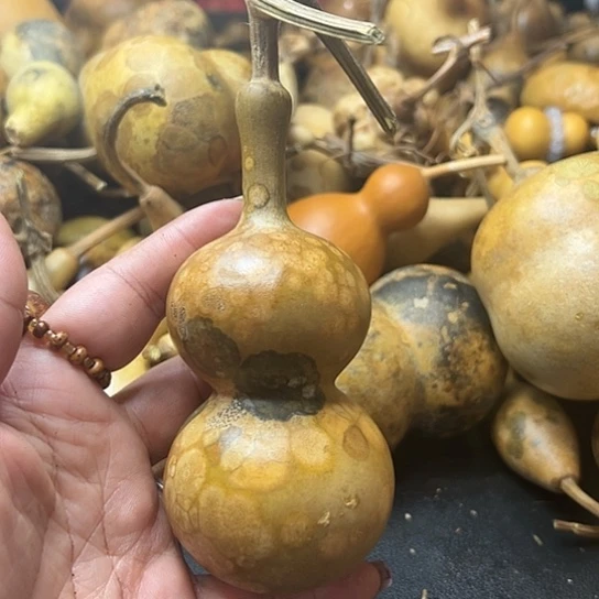 二*月葫芦葫芦葫芦葫芦