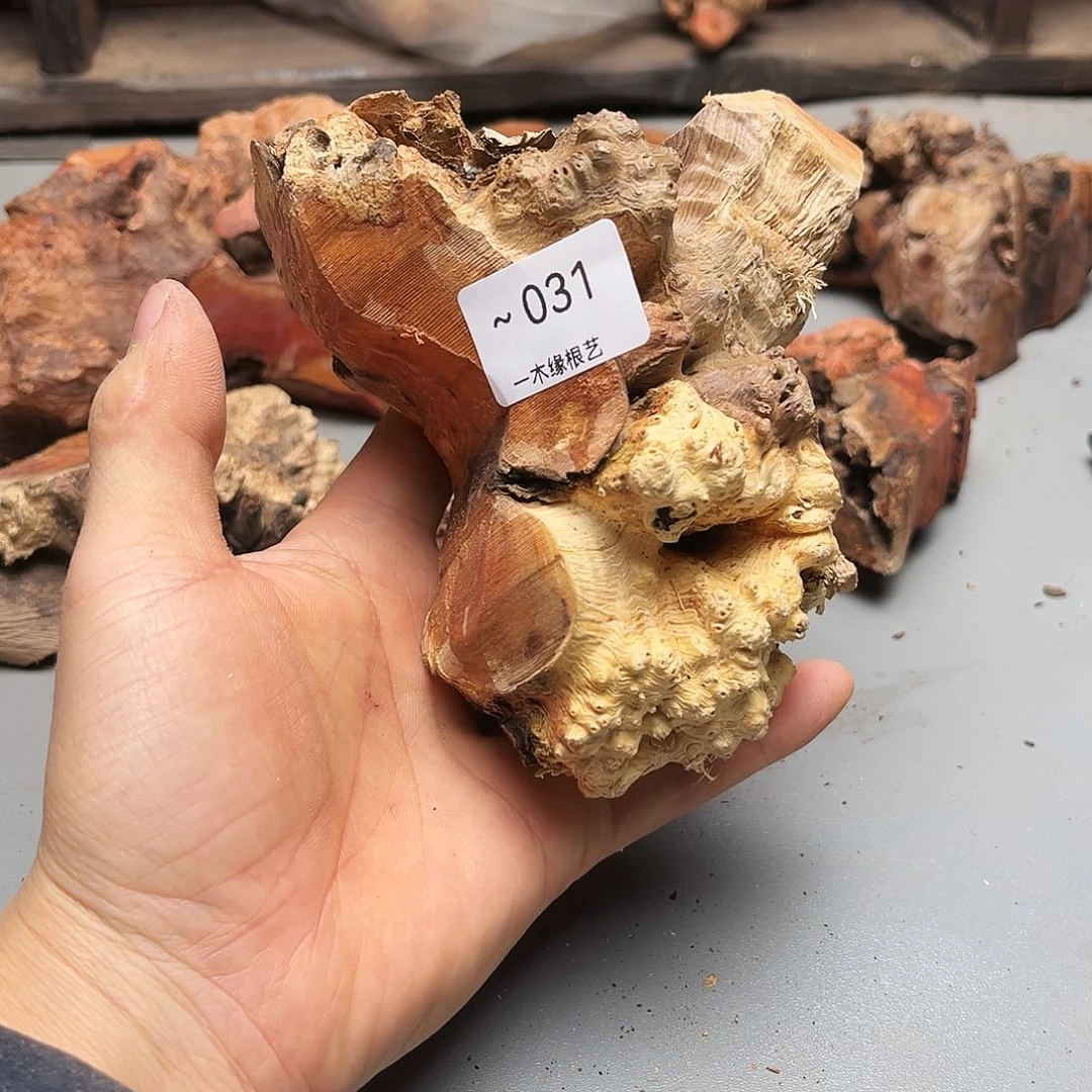 ~***~无花朵000000000031