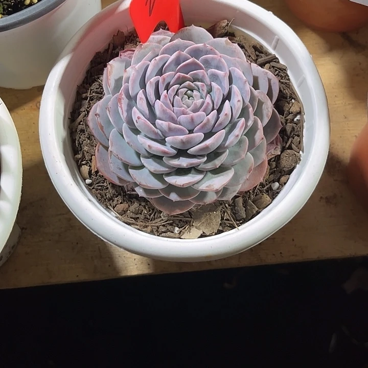 M***。00000000000000002061