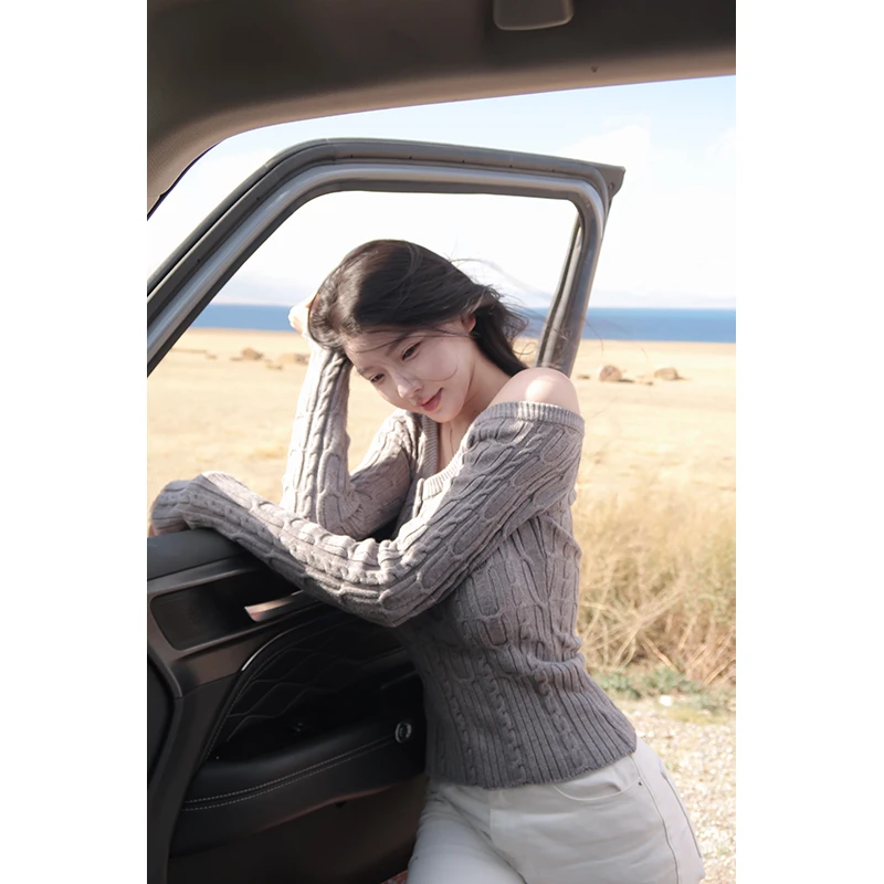 【Fart Shop】粗针麻花 斜肩/一字肩收腰显瘦秋冬露肩毛织上衣女