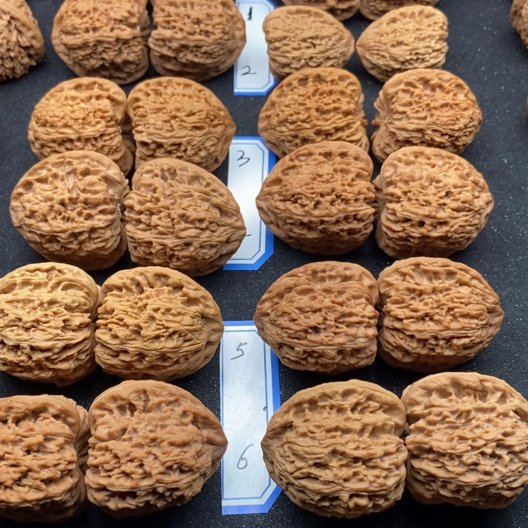 文玩核桃把件萌****?好好