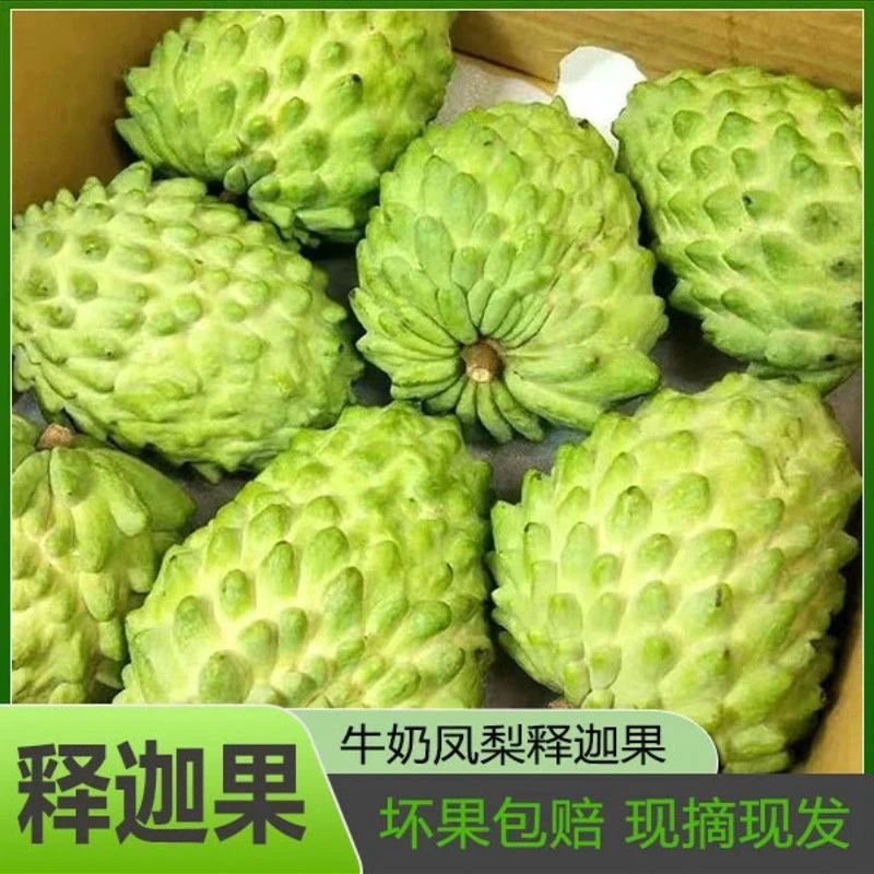 【顺丰/京东】广西凤梨释迦果纯甜不酸软糯香甜当季橘水果新鲜