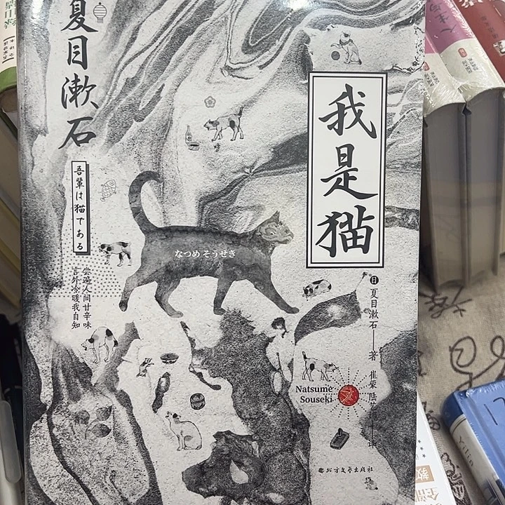 正版书籍 精装硬壳