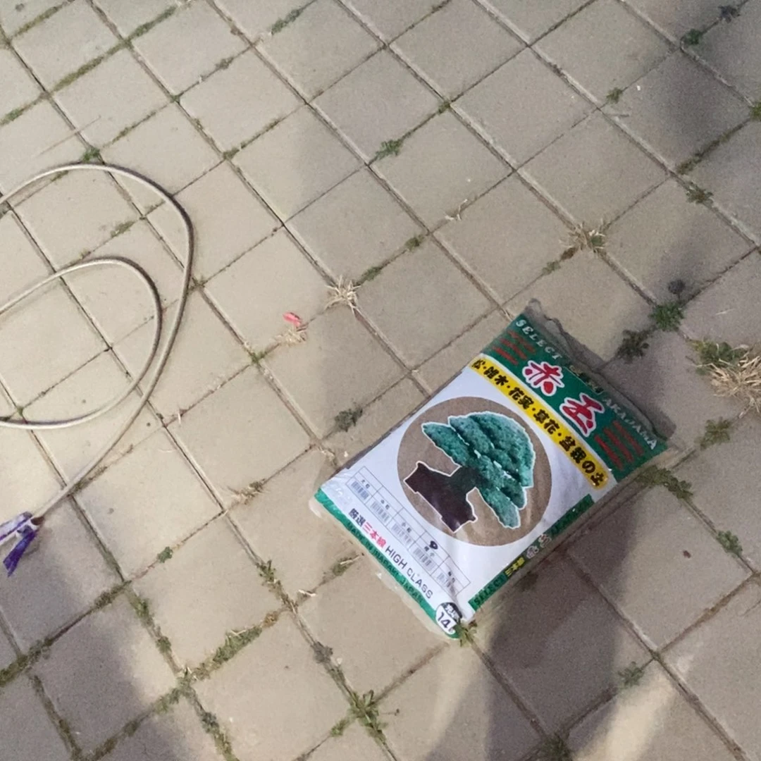 红陶過*红红火火过大年土