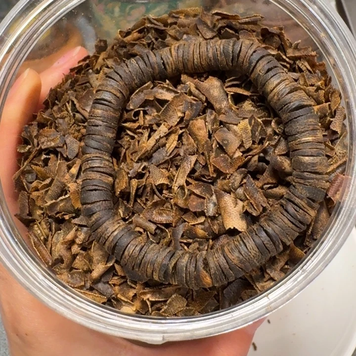 沉香碎屑沉香棋楠老白棋沉水皮油老料9克