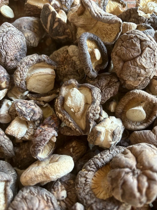 挑选出来的丑香菇