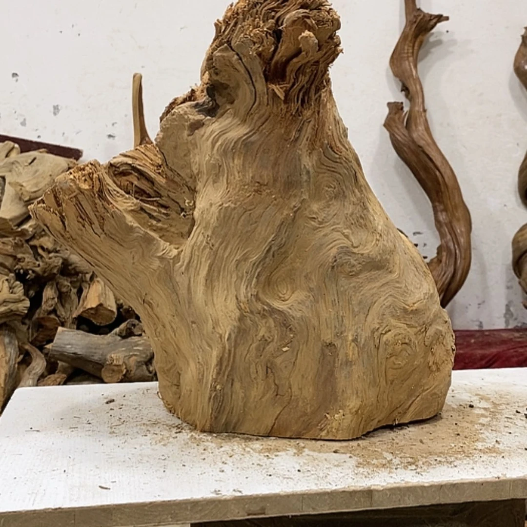 【闪购商品】柏木西****?我们都是好孩子