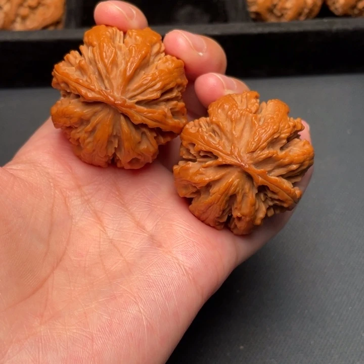 菩提籽类秦岭野生核桃文玩