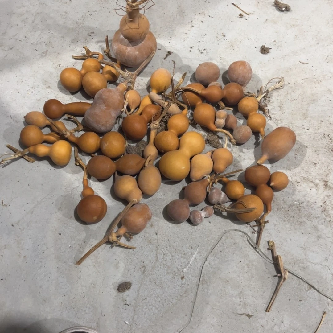 111111111–1——1111111