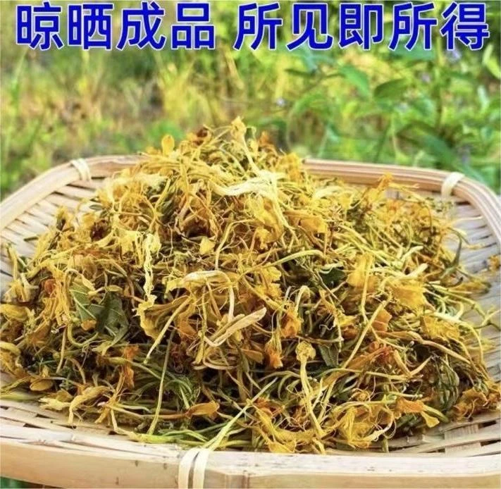正宗天然野生广宁外用农村金银花干自晒下小火苗泡茶