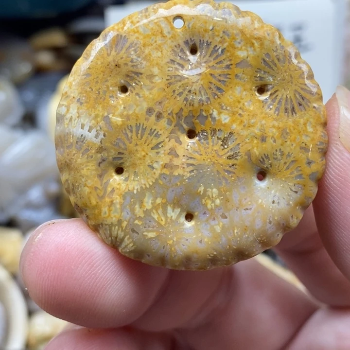 硅化珊瑚（珊瑚玉）未镶嵌颈饰