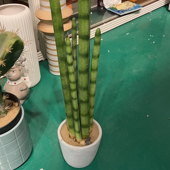 陶微xia特卖满38包邮邮