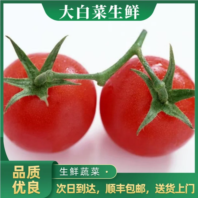 普 罗 旺 斯西红柿 500g±20g宿舍解馋小零食